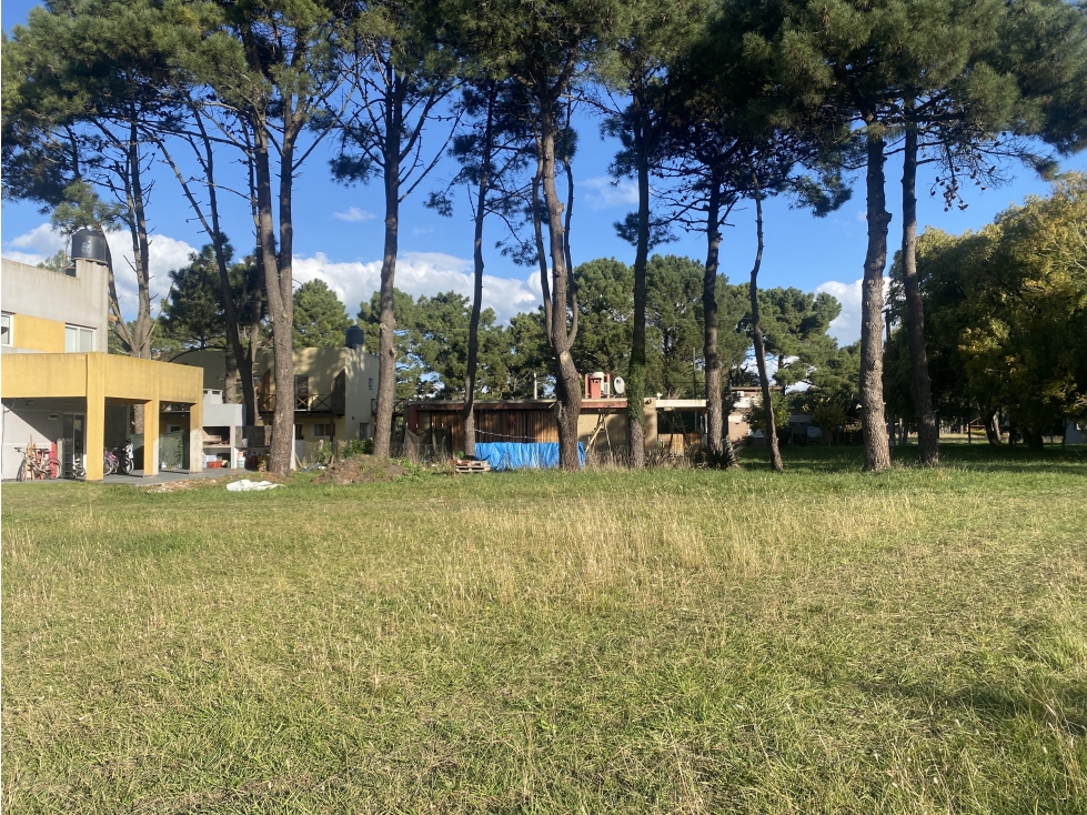 Venta lote La Caleta - 2