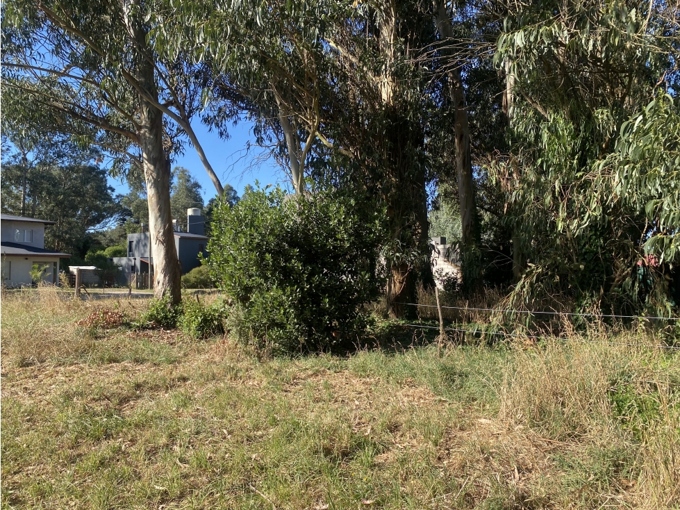 Lote en Venta en Santa Clara del Mar — foto 6