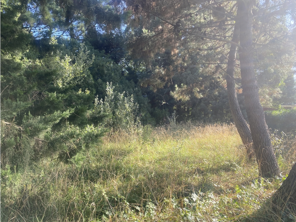 Lote en venta en Mar de Cobo - 2