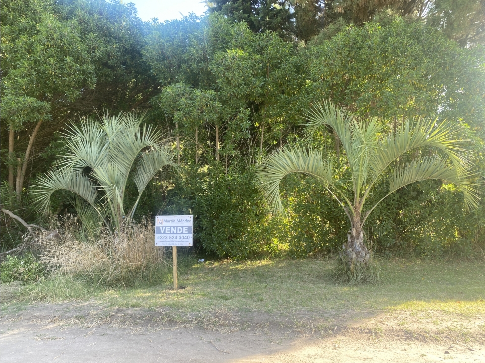 Lote en venta en Mar de Cobo - 1
