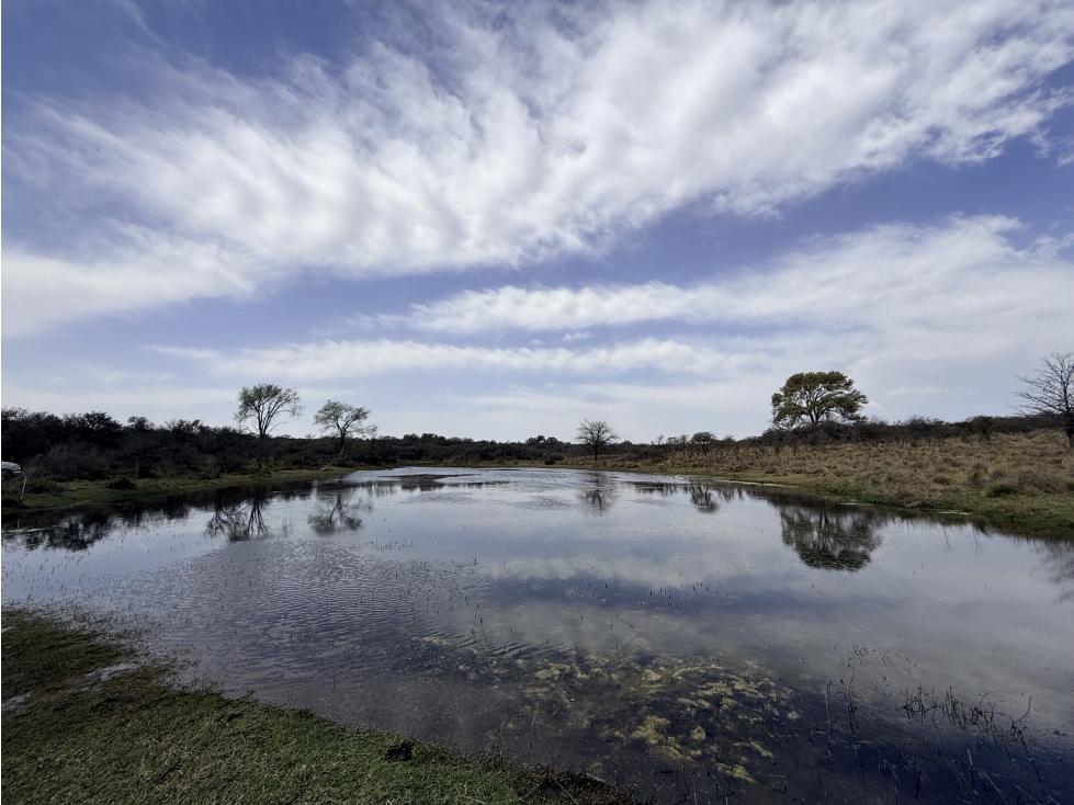 VENTA - CAMPO VILLA QUILLINZO 46 HECTAREAS - ESCRITURA - 2