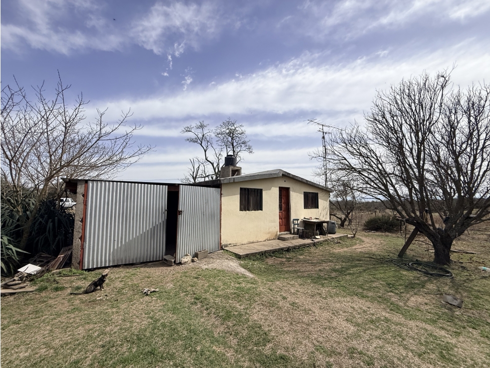 VENTA - CAMPO VILLA QUILLINZO 46 HECTAREAS - ESCRITURA - 4