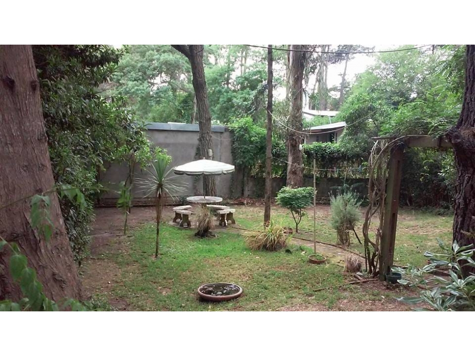 CASA EN PLENO BOSQUE DE VALERIA DEL MAR - 4
