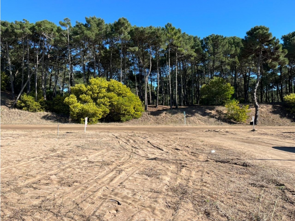 Lote en venta en Pinamar, De La Pescadilla Y Del Mero — foto 5