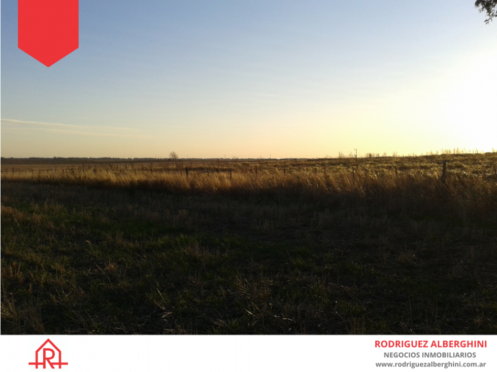 Campo de 51 hectáreas en Mechongue. - 5