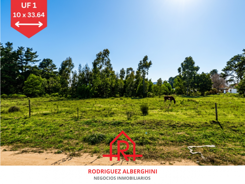 ¡Lotes en venta! (Calles 20 y 59) - 1
