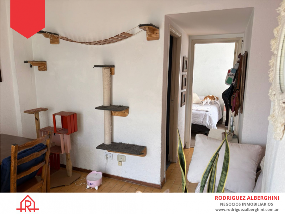 DEPARTAMENTO EN VENTA EN MDP (Calle Bolívar entre San Luis y Córdoba) — foto 3