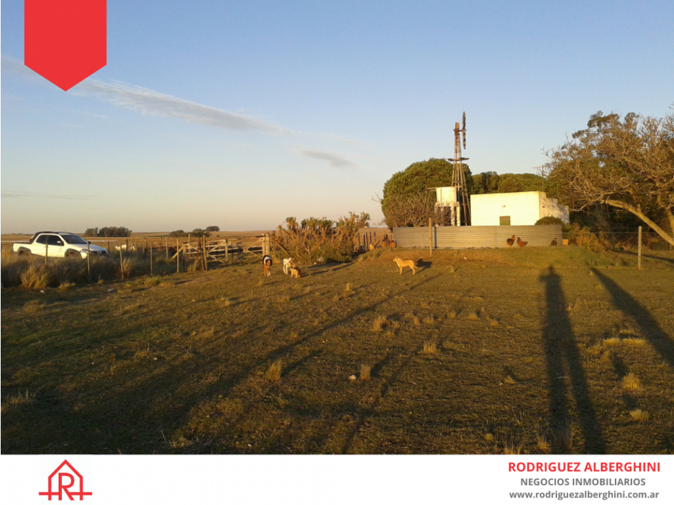 Campo de 51 hectáreas en Mechongue. - 4