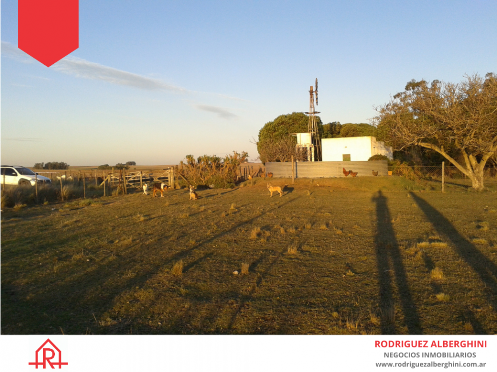Campo de 51 hectáreas en Mechongue. - 3