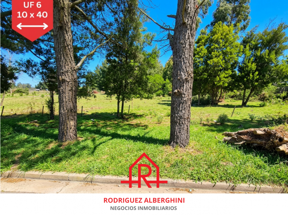 ¡Lotes en venta! (Calles 20 y 59) - 6