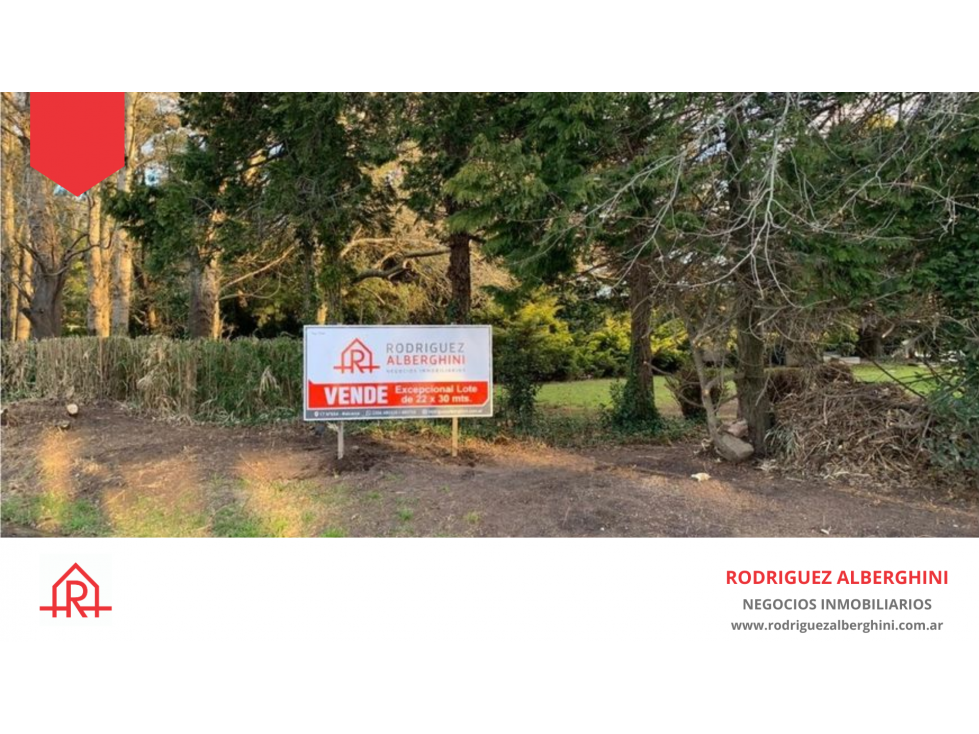 LOTE (Calle 51 e/ 32 y 34) - 1
