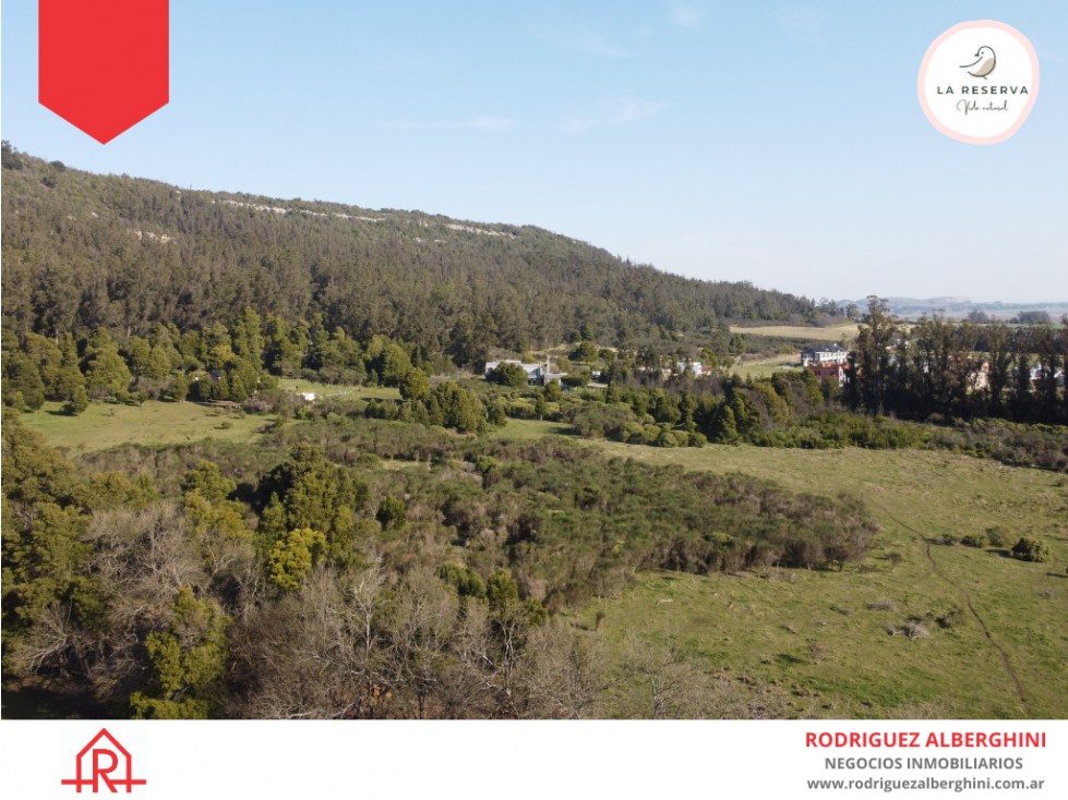 OPORTUNIDAD Loteo La Reserva (Acceso por calle 48 y 91) - 5