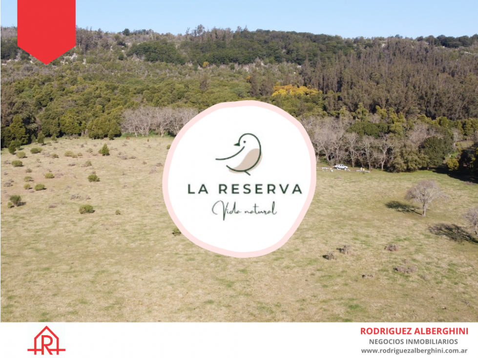 OPORTUNIDAD Loteo La Reserva (Acceso por calle 48 y 91) - 1