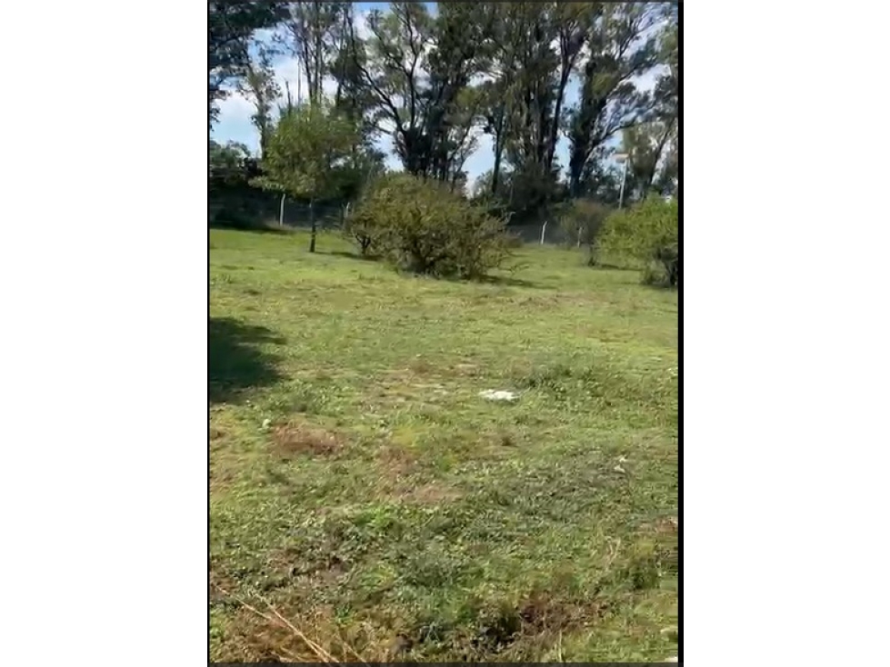 TERRENO EN LA ALFONSINA CLUB DE CAMPO - 4