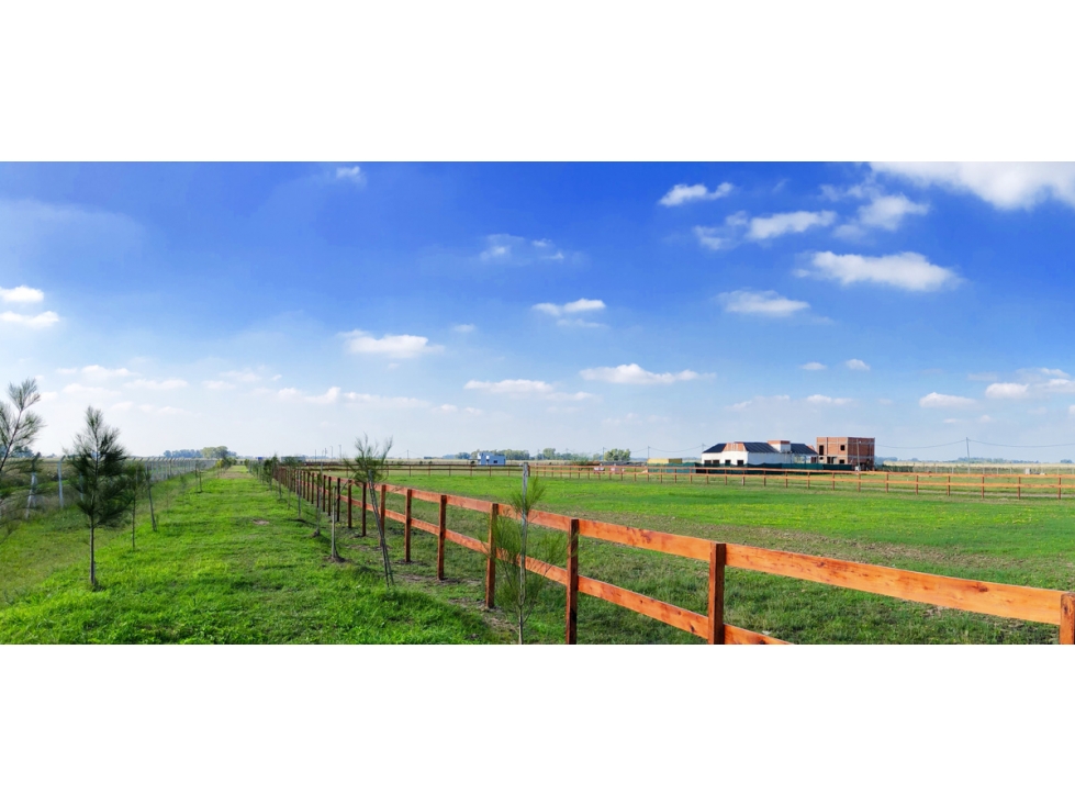 Club de Campo Campos de La Enriqueta - Terreno en Venta - 6