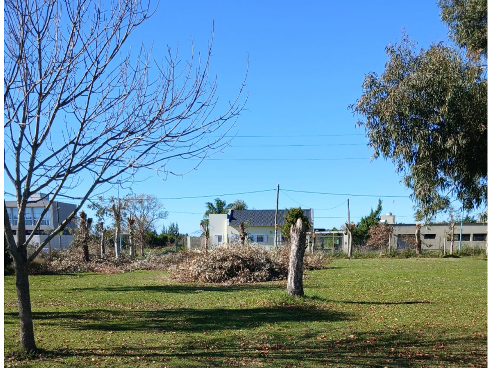 Terreno en venta en la Hermosura, Berriso Calle 133 y 635 - 5