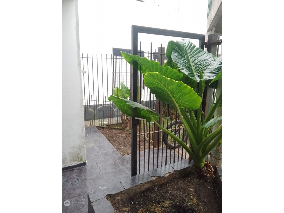 506 E 8 Y 9 PH EN VENTA - 2