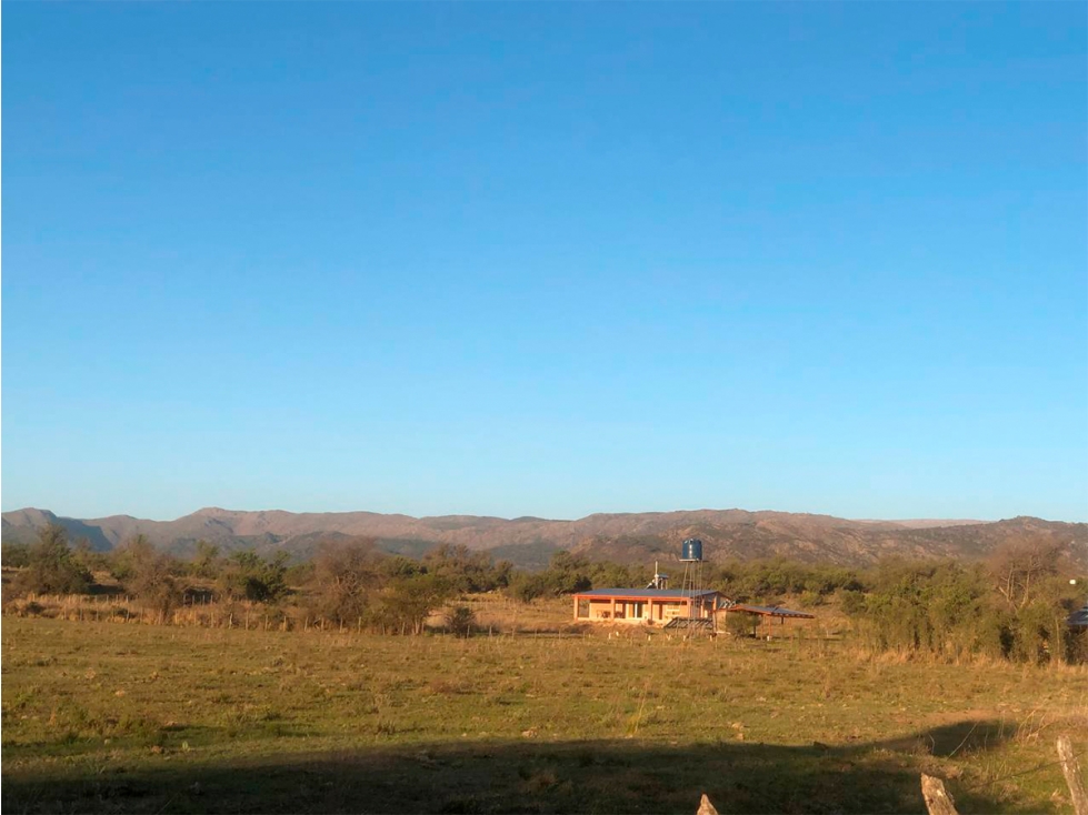 20 Hts. de CAMPO en Panaholma (Córdoba). - 3