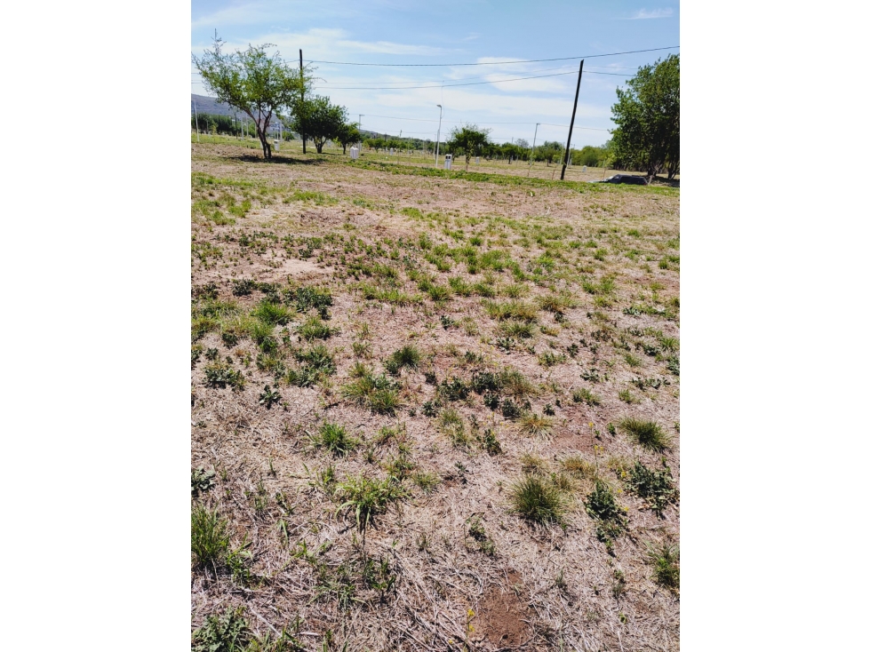 venta lote tejas 4 - 5