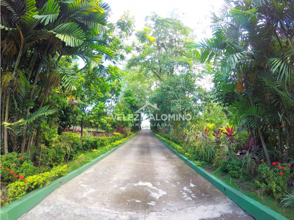 VENTA Lote Casa finca en el barrio Los Alpes — foto 5