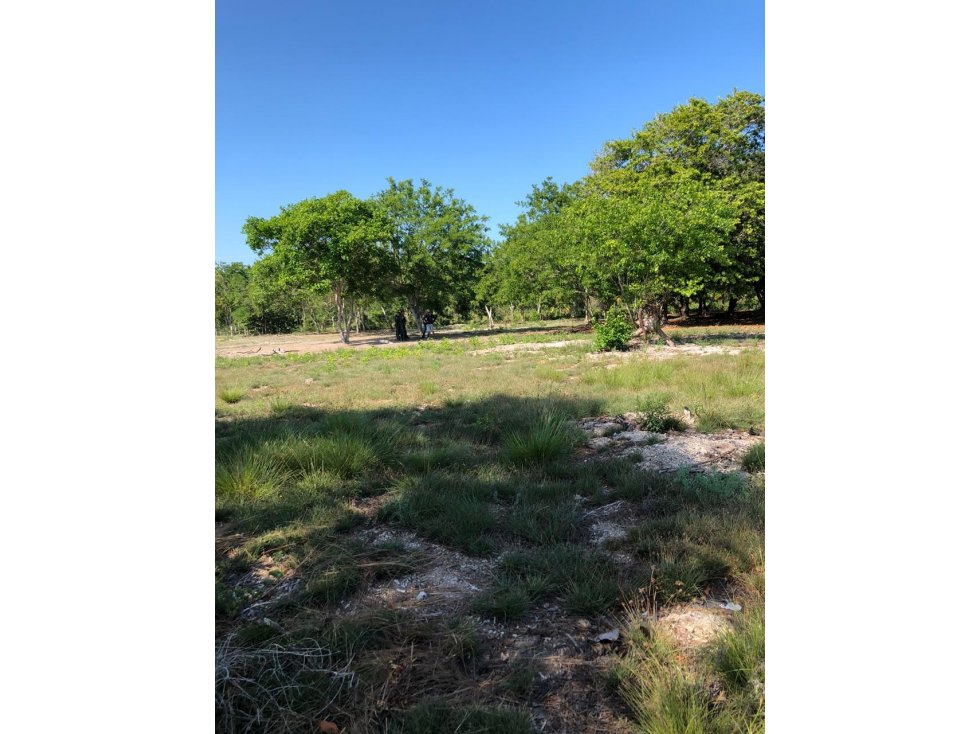 VENTA Isla en Barú, Cartagena de Indias — foto 6