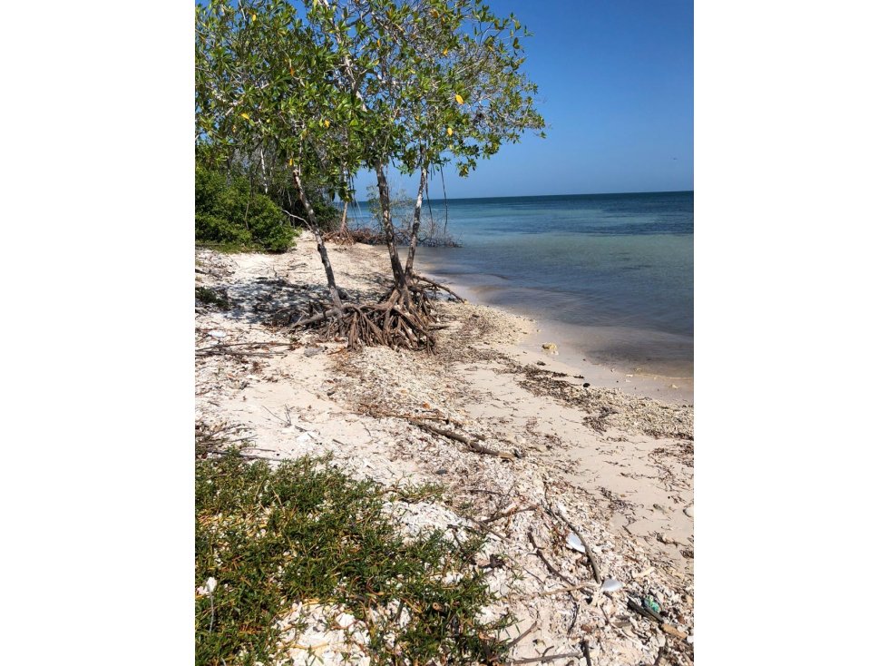 VENTA Isla en Barú, Cartagena de Indias — foto 5
