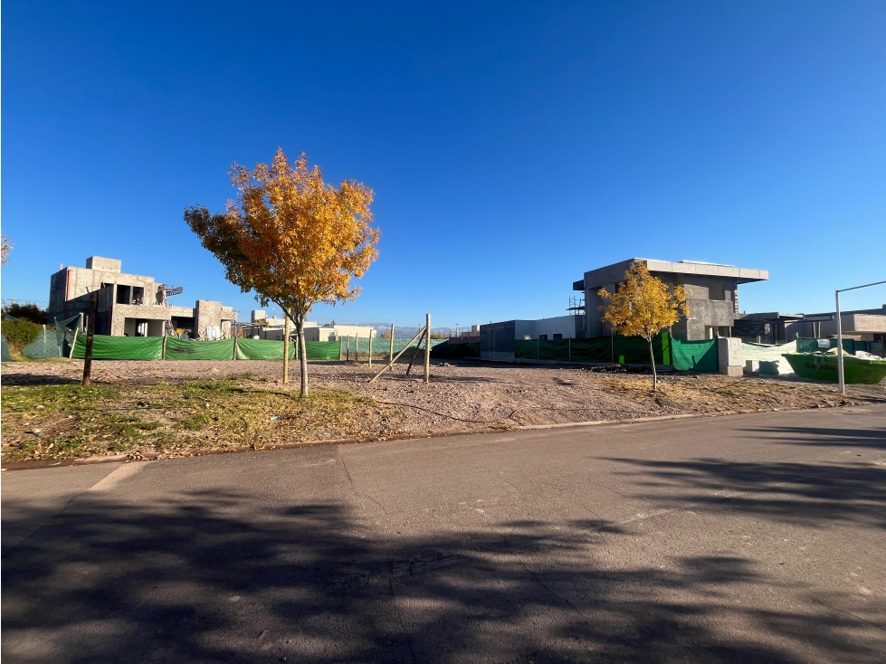 Venta Lote Olivos del Torreon - 2