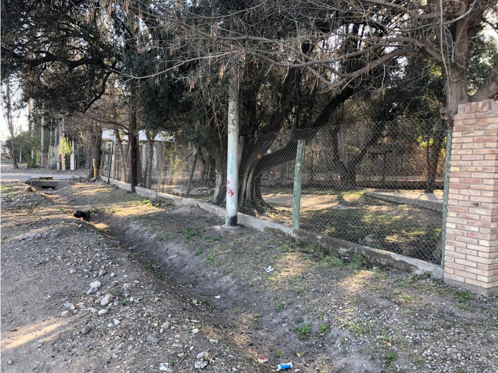 Lote en venta Ruta 82 Vistalba | Frente Rotonda Ortiz Lujan Mendoza - 3