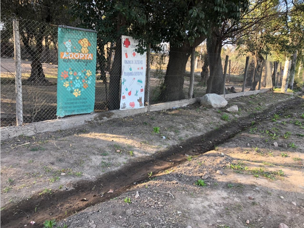 Lote en venta Ruta 82 Vistalba | Frente Rotonda Ortiz Lujan Mendoza - 5