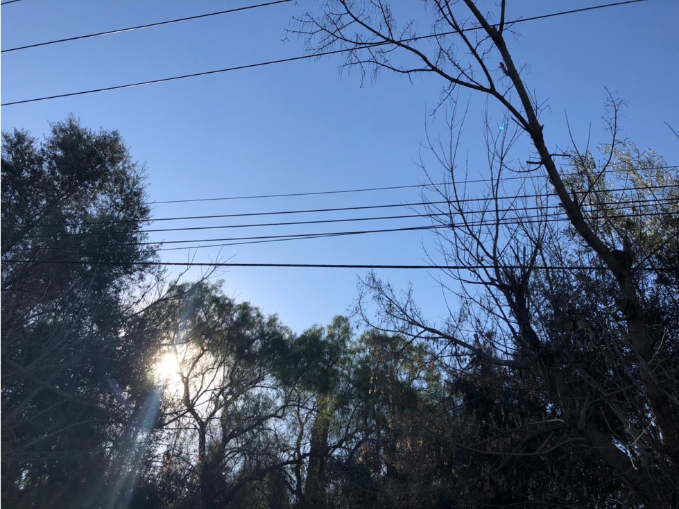 Lote en venta Ruta 82 Vistalba | Frente Rotonda Ortiz Lujan Mendoza - 6