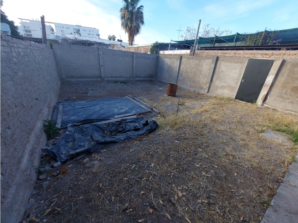 LOTE INTERNO - 5