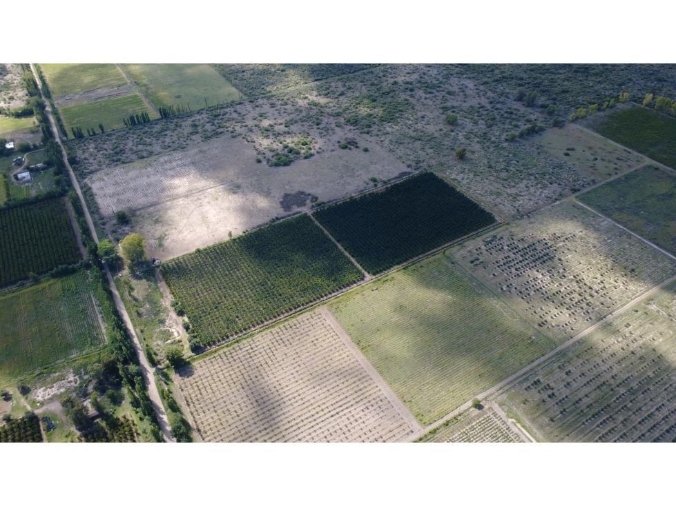 Finca en la Llave - 1