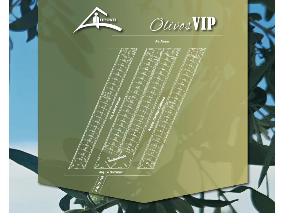 LOTES OLIVOS VIP SAN RAFAEL MENDOZA - 4