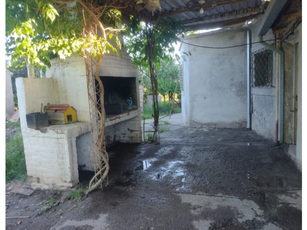 FINCA CON CASA DOS HECTAREAS - 6