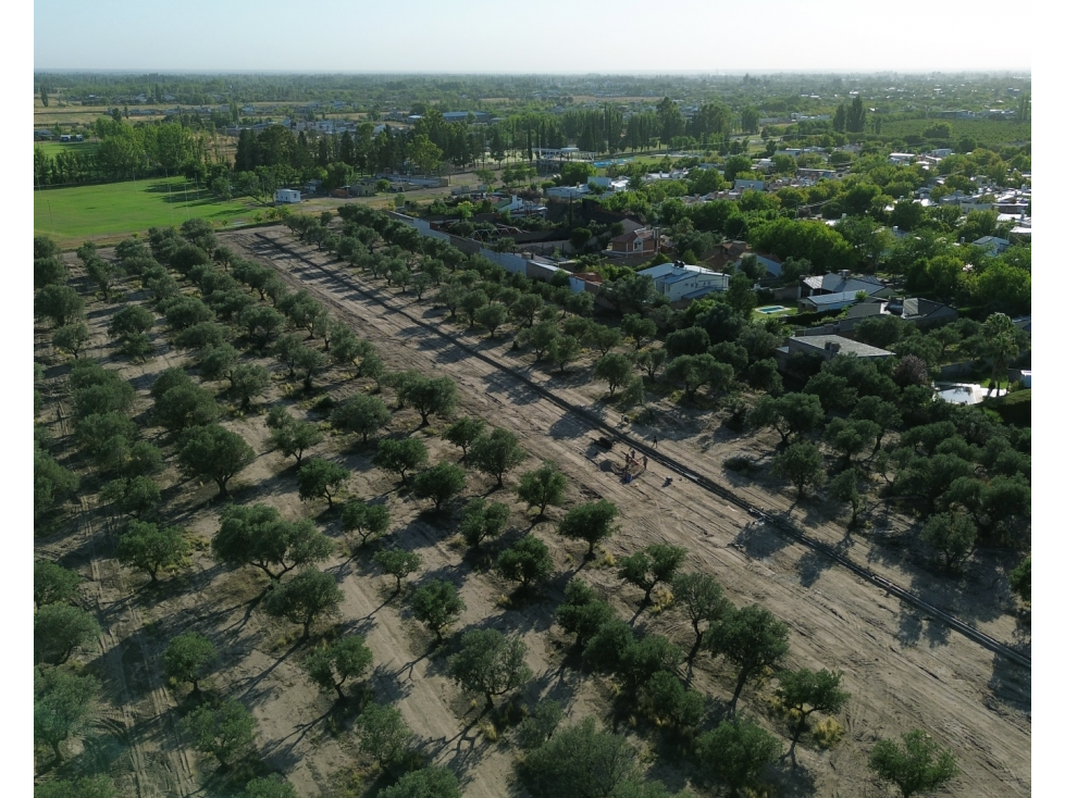LOTES OLIVOS VIP SAN RAFAEL MENDOZA - 6