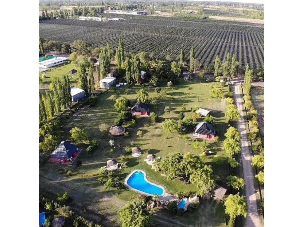 ESPECTACULAR COMPLEJO DE CABAÑAS SAN RAFAEL MENDOZA - 3