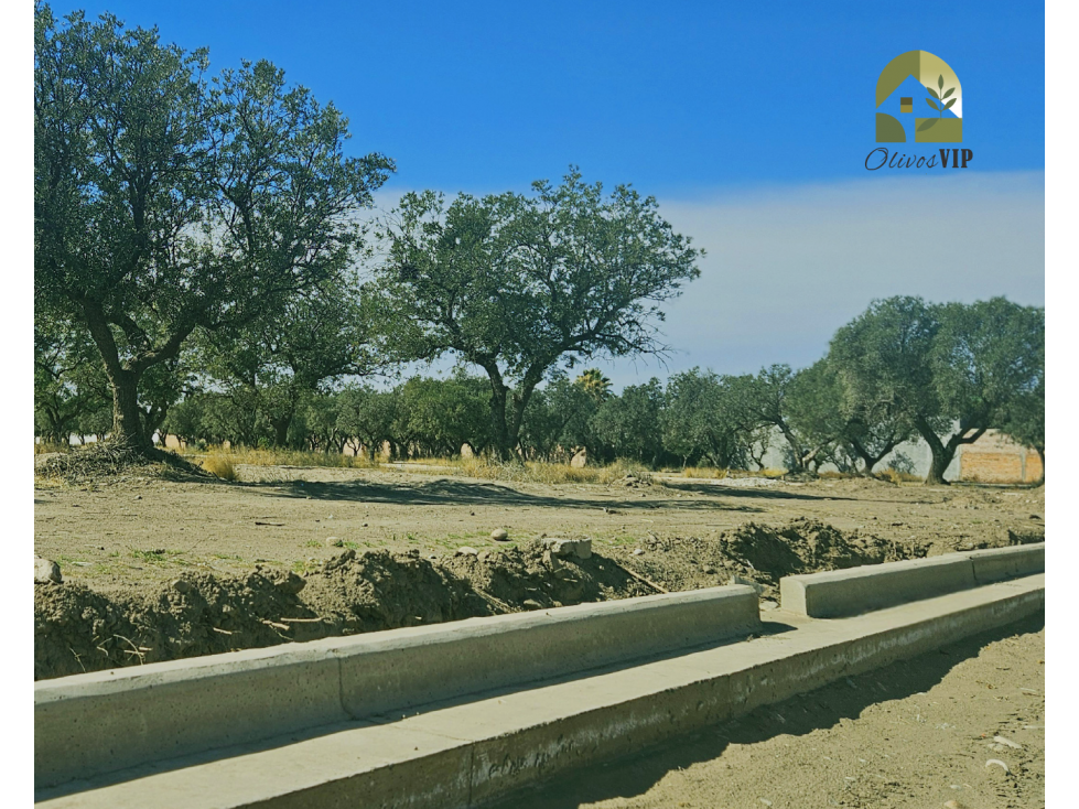 LOTES OLIVOS VIP SAN RAFAEL MENDOZA - 3