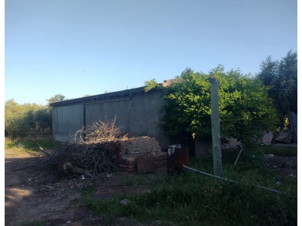 FINCA CON CASA DOS HECTAREAS - 3