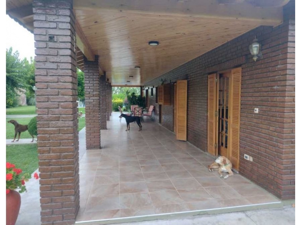 CASA QUINTA SAN RAFAEL MENDOZA - 3