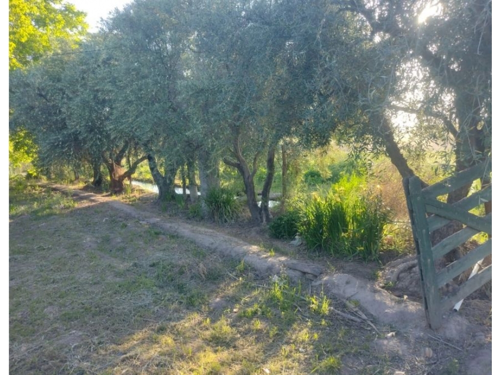 FINCA CON CASA DOS HECTAREAS - 1