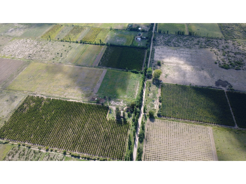 Finca en la Llave - 2