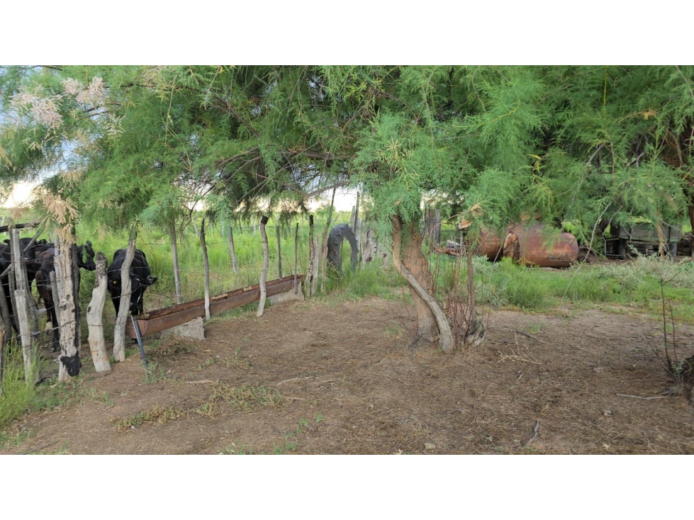 FINCA SEMILLERO SAN RAFAEL - 5