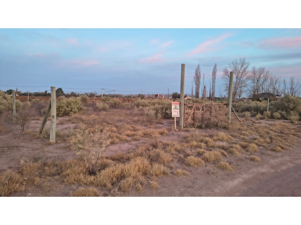 LOTE EN LAS PAREDES - 2