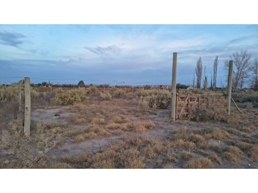 LOTE EN LAS PAREDES - 3