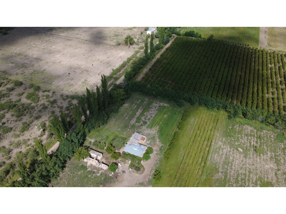 Finca en la Llave - 5