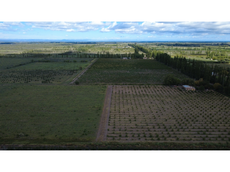 Finca en la Llave - 6