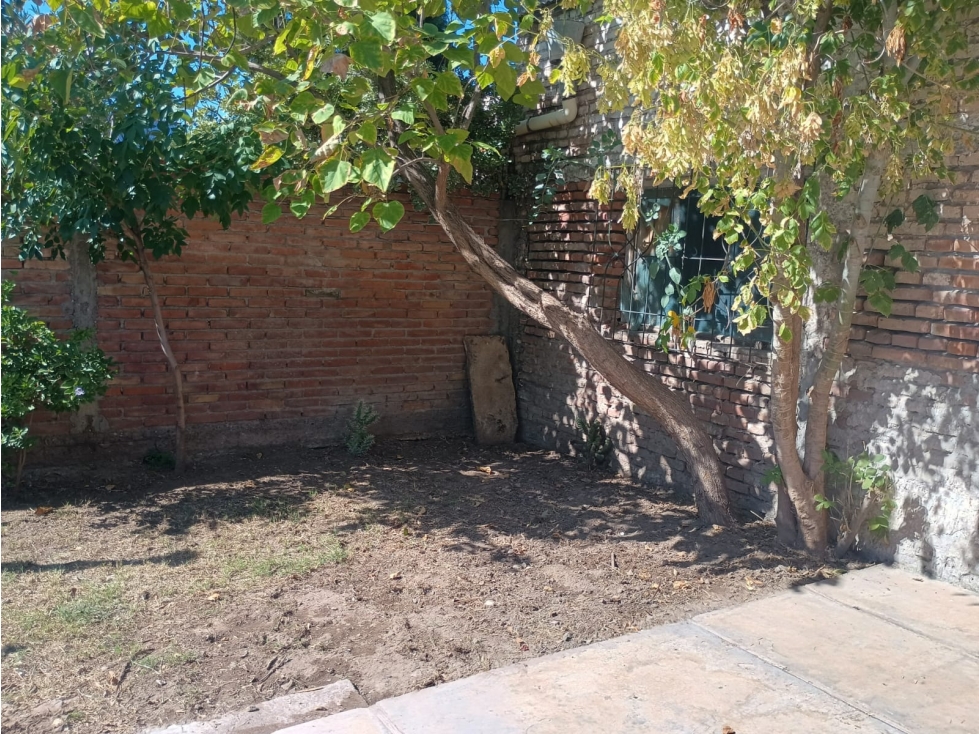 Casa interna - 6