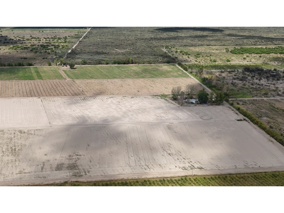 VENTA DE FINCA 40 HAS CALLE LA FLORIDA, EN EL MIRADOR - RIVADAVIA,MZA - 2