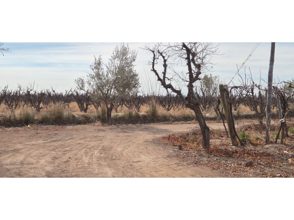 VENTA FINCA DE 72 HAS EN ISLA GRANDE, SAN ROQUE MAIPÚ, MZA - 1