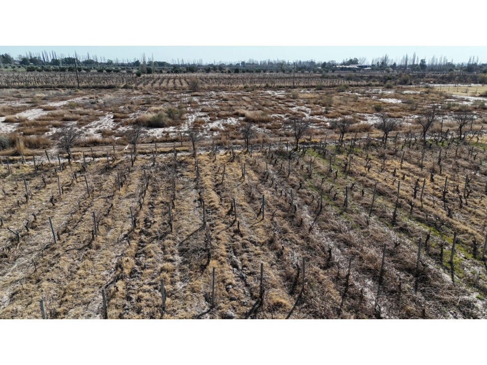 VENTA FINCA 6 HAS EN CARRIL CABALLERO, LOS BARRIALES, JUNIN - 1